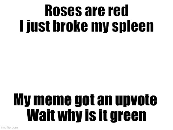 Blank White Template | Roses are red
I just broke my spleen; My meme got an upvote 
Wait why is it green | image tagged in blank white template | made w/ Imgflip meme maker
