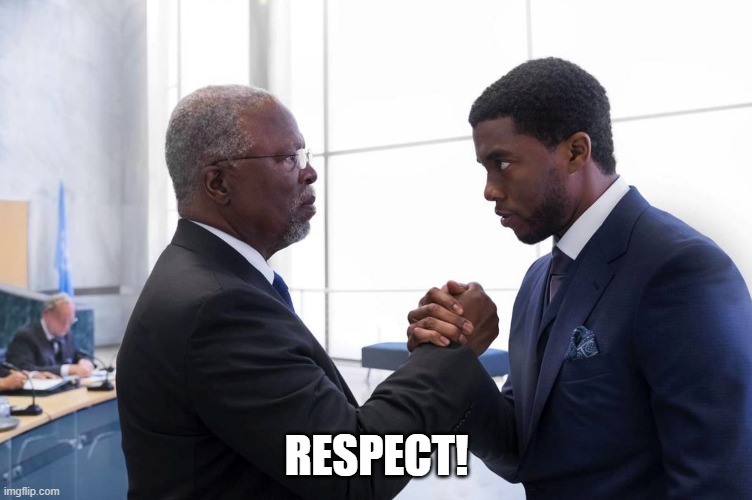 BPRespect | RESPECT! | image tagged in black panther | made w/ Imgflip meme maker