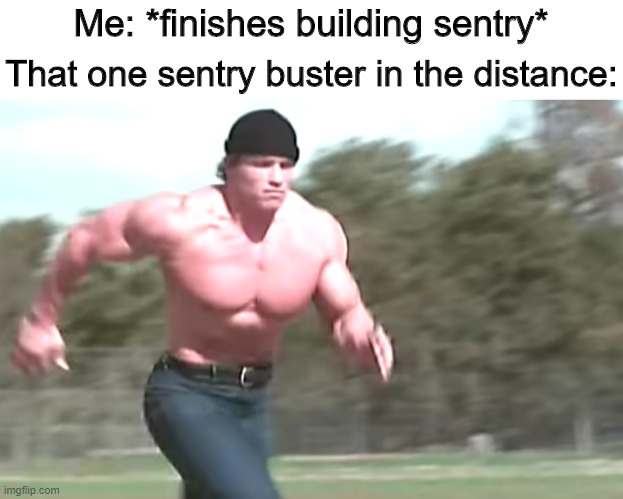 I want to die | Me: *finishes building sentry*; That one sentry buster in the distance: | image tagged in tf2,memes,random | made w/ Imgflip meme maker