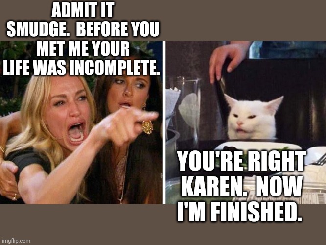 Smudge the cat | ADMIT IT SMUDGE.  BEFORE YOU MET ME YOUR LIFE WAS INCOMPLETE. YOU'RE RIGHT KAREN.  NOW I'M FINISHED. | image tagged in smudge the cat | made w/ Imgflip meme maker