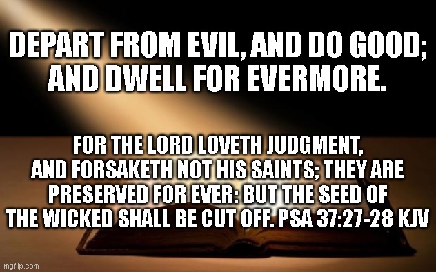 Bible | DEPART FROM EVIL, AND DO GOOD;
AND DWELL FOR EVERMORE. FOR THE LORD LOVETH JUDGMENT, AND FORSAKETH NOT HIS SAINTS; THEY ARE PRESERVED FOR EVER: BUT THE SEED OF THE WICKED SHALL BE CUT OFF. PSA 37:27-28 KJV | image tagged in bible | made w/ Imgflip meme maker