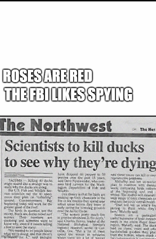 Yet Another Roses are Red Meme | ROSES ARE RED; THE FBI LIKES SPYING | image tagged in just a blank template,funny memes,roses are red | made w/ Imgflip meme maker
