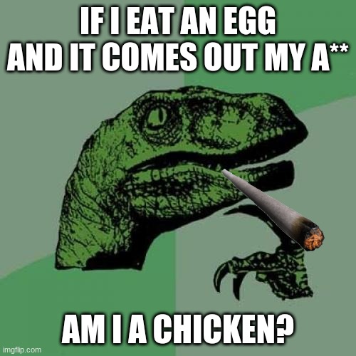 AM I?! | IF I EAT AN EGG AND IT COMES OUT MY A**; AM I A CHICKEN? | image tagged in memes,philosoraptor | made w/ Imgflip meme maker