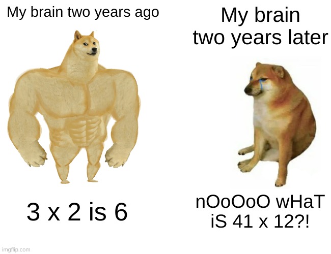 Literally happened today at Maths | My brain two years ago; My brain two years later; 3 x 2 is 6; nOoOoO wHaT iS 41 x 12?! | image tagged in memes,buff doge vs cheems,maths,school | made w/ Imgflip meme maker