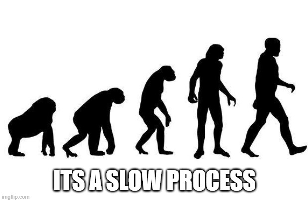 Human Evolution | ITS A SLOW PROCESS | image tagged in human evolution | made w/ Imgflip meme maker