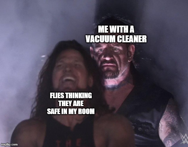 This happens when flies are just plain stupid | ME WITH A VACUUM CLEANER; FLIES THINKING THEY ARE SAFE IN MY ROOM | image tagged in undertaker | made w/ Imgflip meme maker