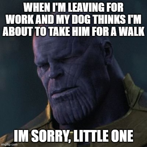 soft thanos | WHEN I'M LEAVING FOR WORK AND MY DOG THINKS I'M ABOUT TO TAKE HIM FOR A WALK; IM SORRY, LITTLE ONE | image tagged in thanos,doggo,im sorry little one | made w/ Imgflip meme maker