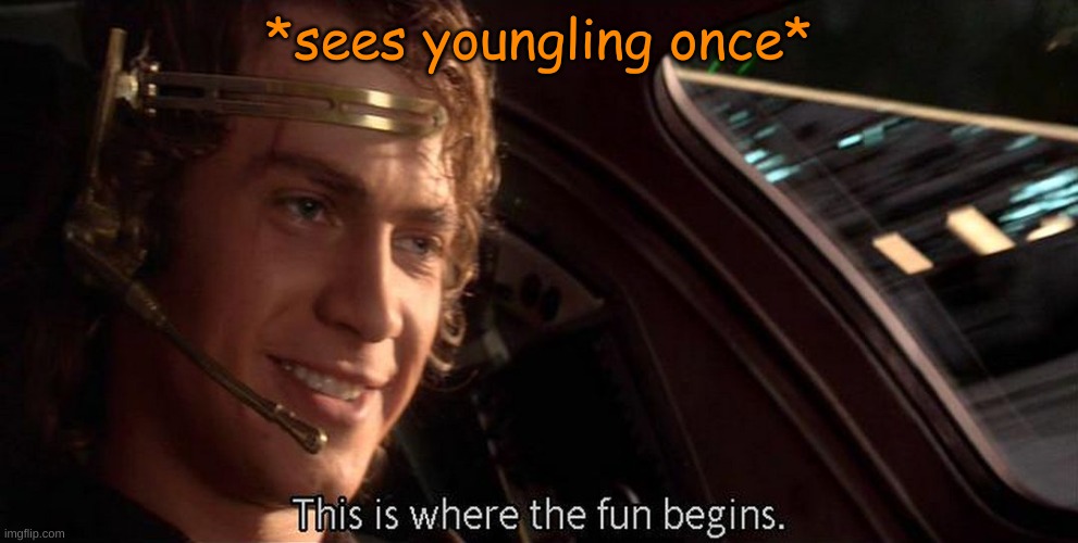 E | *sees youngling once* | image tagged in this is where the fun begins | made w/ Imgflip meme maker