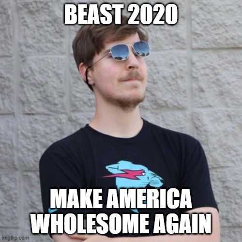 BEAST 2020 | BEAST 2020; MAKE AMERICA WHOLESOME AGAIN | image tagged in mr beast | made w/ Imgflip meme maker