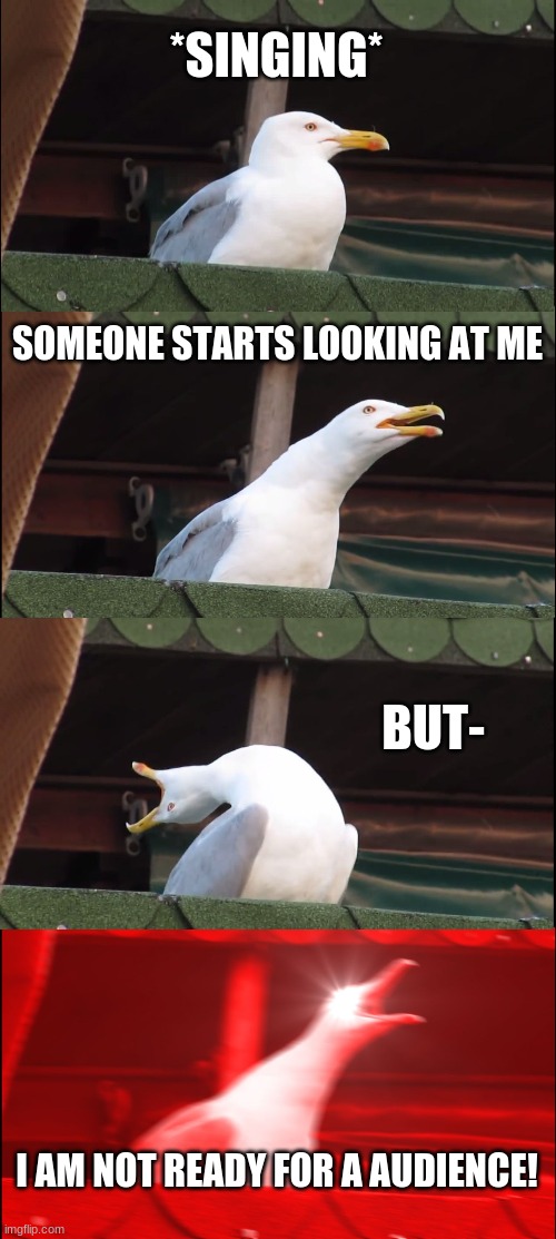 Inhaling Seagull | *SINGING*; SOMEONE STARTS LOOKING AT ME; BUT-; I AM NOT READY FOR A AUDIENCE! | image tagged in memes,inhaling seagull | made w/ Imgflip meme maker