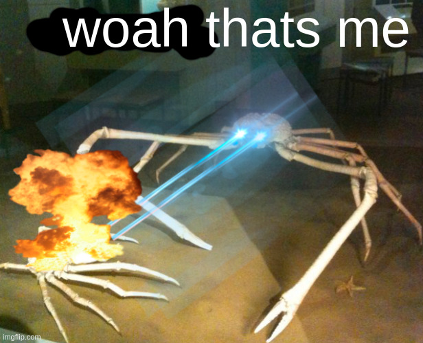 Silence Crab | woah thats me | image tagged in silence crab | made w/ Imgflip meme maker