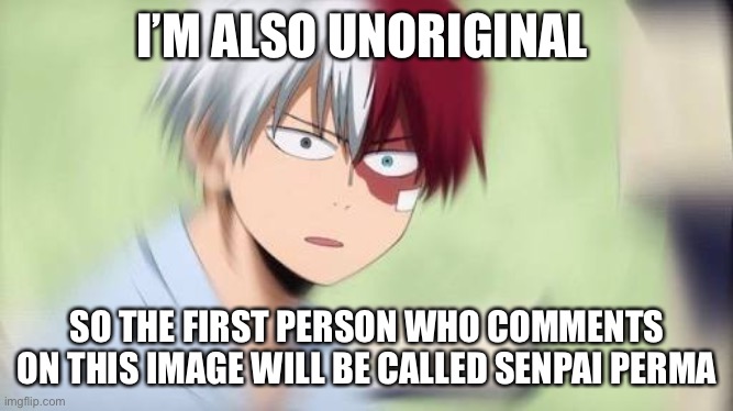 Todoroki confused af | I’M ALSO UNORIGINAL; SO THE FIRST PERSON WHO COMMENTS ON THIS IMAGE WILL BE CALLED SENPAI PERMANENTLY | image tagged in todoroki confused af | made w/ Imgflip meme maker