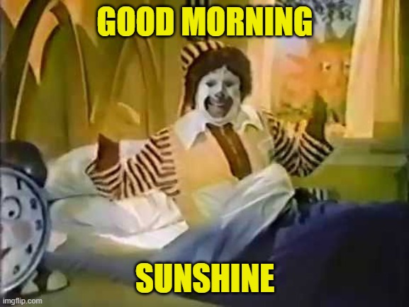 good morning sunshine | GOOD MORNING; SUNSHINE | image tagged in good morning | made w/ Imgflip meme maker