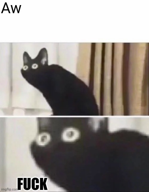 Oh No Black Cat | Aw FUCK | image tagged in oh no black cat | made w/ Imgflip meme maker