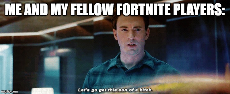 ME AND MY FELLOW FORTNITE PLAYERS: | made w/ Imgflip meme maker