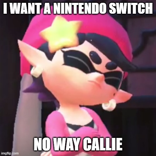 Upset Callie | I WANT A NINTENDO SWITCH; NO WAY CALLIE | image tagged in upset callie | made w/ Imgflip meme maker