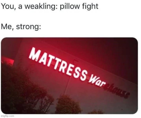 not sure thats what they meant | image tagged in lol,memes,funny,oof,pillow fight | made w/ Imgflip meme maker