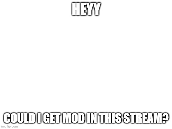 just askin | HEYY; COULD I GET MOD IN THIS STREAM? | image tagged in blank white template | made w/ Imgflip meme maker