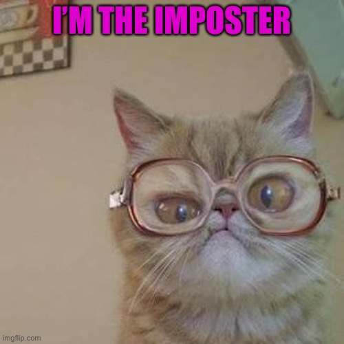 Funny Cat with Glasses | I’M THE IMPOSTER | image tagged in funny cat with glasses | made w/ Imgflip meme maker