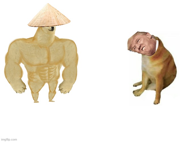 Buff Doge vs. Cheems | image tagged in memes,buff doge vs cheems | made w/ Imgflip meme maker