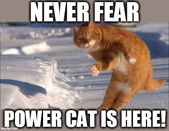 Power Cat | NEVER FEAR; POWER CAT IS HERE! | image tagged in funny cats,fun animals,power cat,dogs an cats | made w/ Imgflip meme maker
