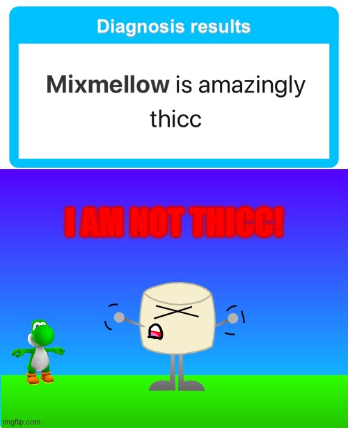 looks like the generator triggered Mixmellow a little bit.. | I AM NOT THICC! | image tagged in mixmellow,thicc,dannyhogan200,ocs,memes | made w/ Imgflip meme maker