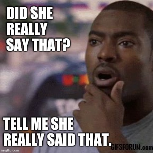 Unbelievable | DID SHE REALLY SAY THAT? TELL ME SHE REALLY SAID THAT. | image tagged in unbelievable | made w/ Imgflip meme maker