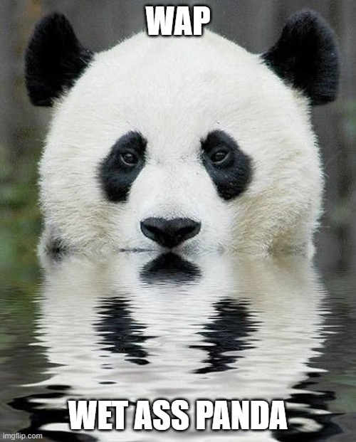 WAP; WET ASS PANDA | image tagged in panda | made w/ Imgflip meme maker