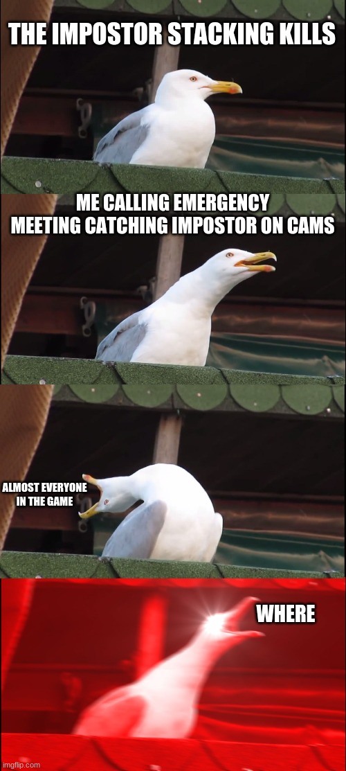 all your happiness | THE IMPOSTOR STACKING KILLS; ME CALLING EMERGENCY MEETING CATCHING IMPOSTOR ON CAMS; ALMOST EVERYONE IN THE GAME; WHERE | image tagged in memes,inhaling seagull | made w/ Imgflip meme maker