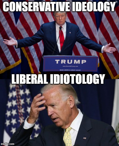 CONSERVATIVE IDEOLOGY; LIBERAL IDIOTOLOGY | image tagged in donald trump,joe biden worries | made w/ Imgflip meme maker