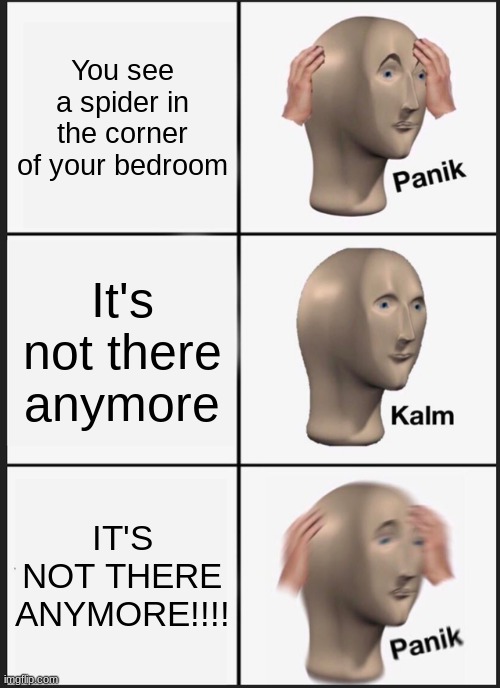 PANIK | You see a spider in the corner of your bedroom; It's not there anymore; IT'S NOT THERE ANYMORE!!!! | image tagged in memes,panik kalm panik | made w/ Imgflip meme maker