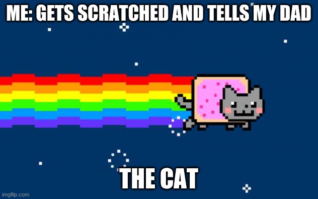 Nyan Cat | ME: GETS SCRATCHED AND TELLS MY DAD; THE CAT | image tagged in nyan cat | made w/ Imgflip meme maker