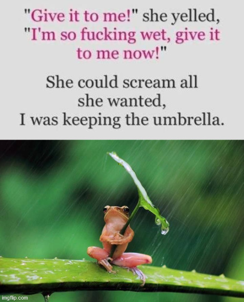 She was so wet afterwards. | image tagged in frog with umbrella,wet | made w/ Imgflip meme maker