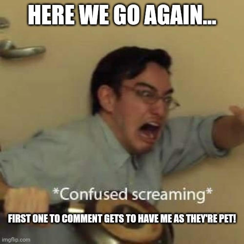Ok, if Church or Trap comment im just gonna r e f u s e | HERE WE GO AGAIN... FIRST ONE TO COMMENT GETS TO HAVE ME AS THEY'RE PET! | image tagged in filthy frank confused scream | made w/ Imgflip meme maker