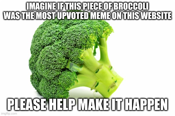 Im gonna check this meme tomorrow, and i hope i see over 10k views :) | IMAGINE IF THIS PIECE OF BROCCOLI WAS THE MOST UPVOTED MEME ON THIS WEBSITE; PLEASE HELP MAKE IT HAPPEN | image tagged in broccoli | made w/ Imgflip meme maker
