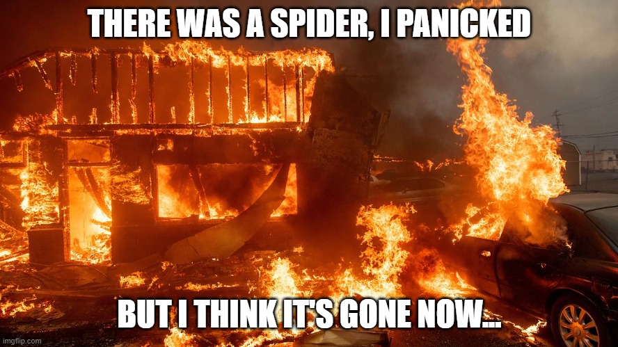 how to kill a spider the right way | THERE WAS A SPIDER, I PANICKED; BUT I THINK IT'S GONE NOW... | image tagged in too  scared of spiders | made w/ Imgflip meme maker