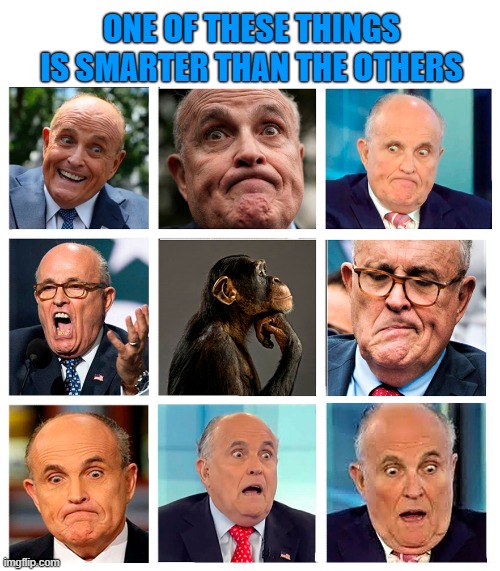 "That's Rudy" - Donald J. Trump | ONE OF THESE THINGS IS SMARTER THAN THE OTHERS | image tagged in rudy giuliani,clown,lunatic,idiot,moron,rudy | made w/ Imgflip meme maker