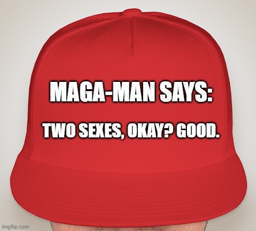 MAGA-MAN 2 SEXES | MAGA-MAN SAYS:; TWO SEXES, OKAY? GOOD. | image tagged in trump hat | made w/ Imgflip meme maker