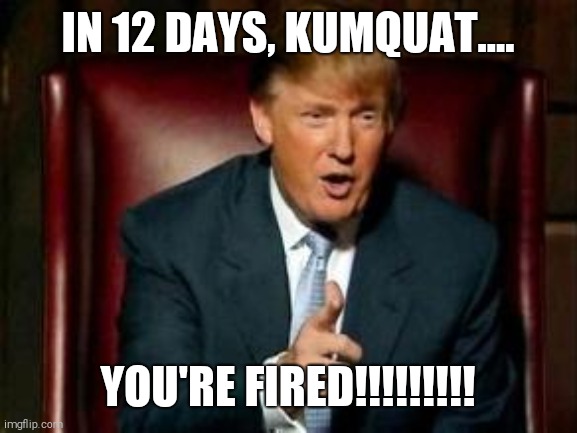 YOU'RE FIRED | IN 12 DAYS, KUMQUAT.... YOU'RE FIRED!!!!!!!!! | image tagged in donald trump,donald trump you're fired | made w/ Imgflip meme maker