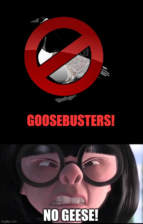 GOOSEBUSTERS! | GOOSEBUSTERS! NO GEESE! | image tagged in memes,blank transparent square | made w/ Imgflip meme maker