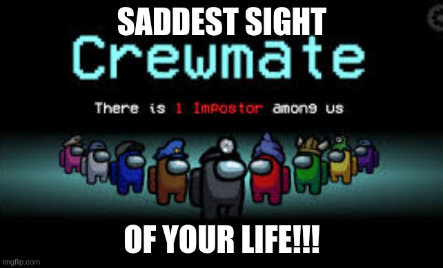 There is 1 imposter among us | SADDEST SIGHT; OF YOUR LIFE!!! | image tagged in there is 1 imposter among us | made w/ Imgflip meme maker
