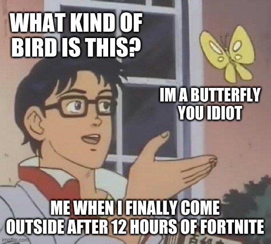me when i finally come outside after 12 hours of fortnite | WHAT KIND OF BIRD IS THIS? IM A BUTTERFLY YOU IDIOT; ME WHEN I FINALLY COME OUTSIDE AFTER 12 HOURS OF FORTNITE | image tagged in memes,is this a pigeon | made w/ Imgflip meme maker