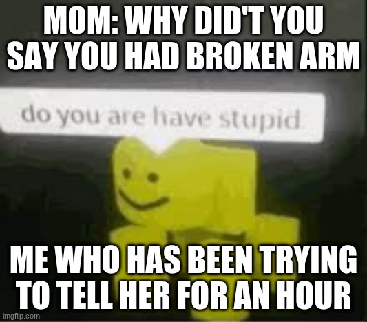 do you are have stupid | MOM: WHY DID'T YOU SAY YOU HAD BROKEN ARM; ME WHO HAS BEEN TRYING TO TELL HER FOR AN HOUR | image tagged in do you are have stupid | made w/ Imgflip meme maker