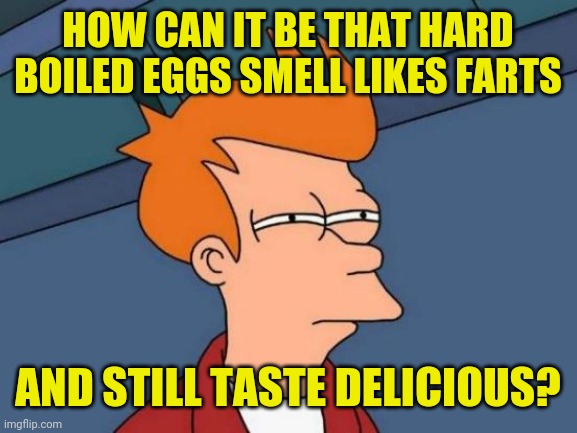 How can it be that hard boiled eggs smell like farts and still taste delicious | HOW CAN IT BE THAT HARD BOILED EGGS SMELL LIKES FARTS; AND STILL TASTE DELICIOUS? | image tagged in memes,futurama fry,funny,meme,funny memes,funny meme | made w/ Imgflip meme maker