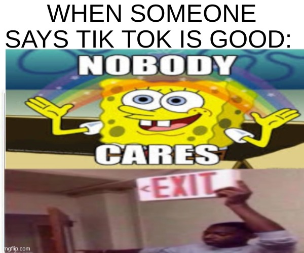 what happens when there is a tik tok lover | WHEN SOMEONE SAYS TIK TOK IS GOOD: | image tagged in memes,tik tok,sucks | made w/ Imgflip meme maker