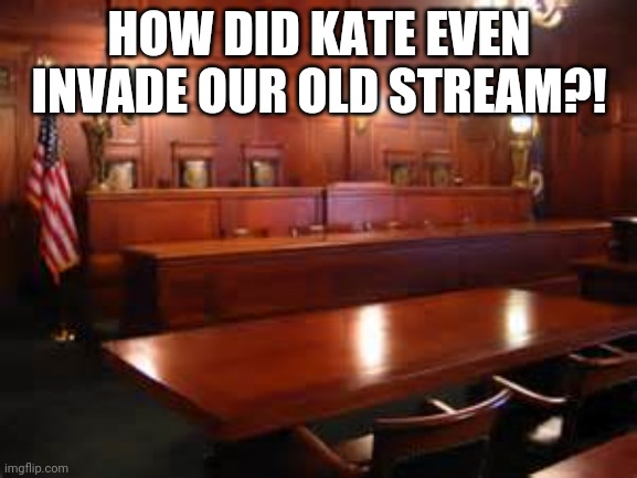 courtroom | HOW DID KATE EVEN INVADE OUR OLD STREAM?! | image tagged in courtroom | made w/ Imgflip meme maker