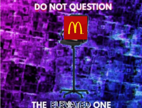 Do not question the elevated one | image tagged in do not question the elevated one | made w/ Imgflip meme maker