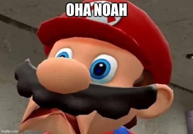 Mario WTF | OHA NOAH | image tagged in mario wtf | made w/ Imgflip meme maker