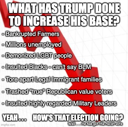 What happens when you focus only "on the base" | WHAT HAS TRUMP DONE TO INCREASE HIS BASE? - Bankrupted Farmers; - Millions unemployed; - Demonized LGBT people; - Insulted Blacks - can't say BLM; - Tore apart Legal Immigrant families; - Trashed "true" Republican value voters; - Insulted highly regarded Military Leaders; YEAH . . .     HOW'S THAT ELECTION GOING? Well . . . He has got the racist vote | image tagged in down chart,trump,election,covid,military,blm | made w/ Imgflip meme maker
