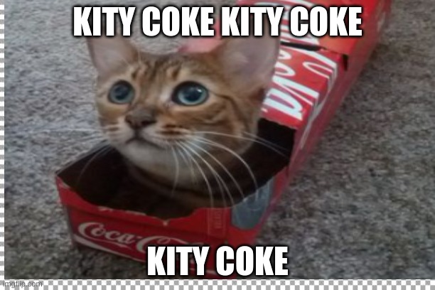the coke emerges | KITY COKE KITY COKE; KITY COKE | image tagged in gifs,cats | made w/ Imgflip meme maker